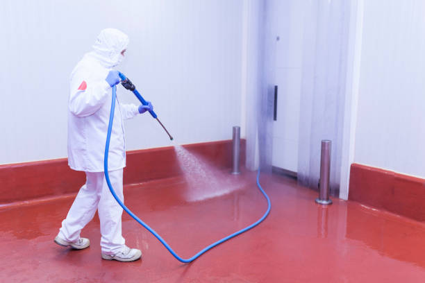 Best Boat and Dock Cleaning  in Cliffside Park, NJ
